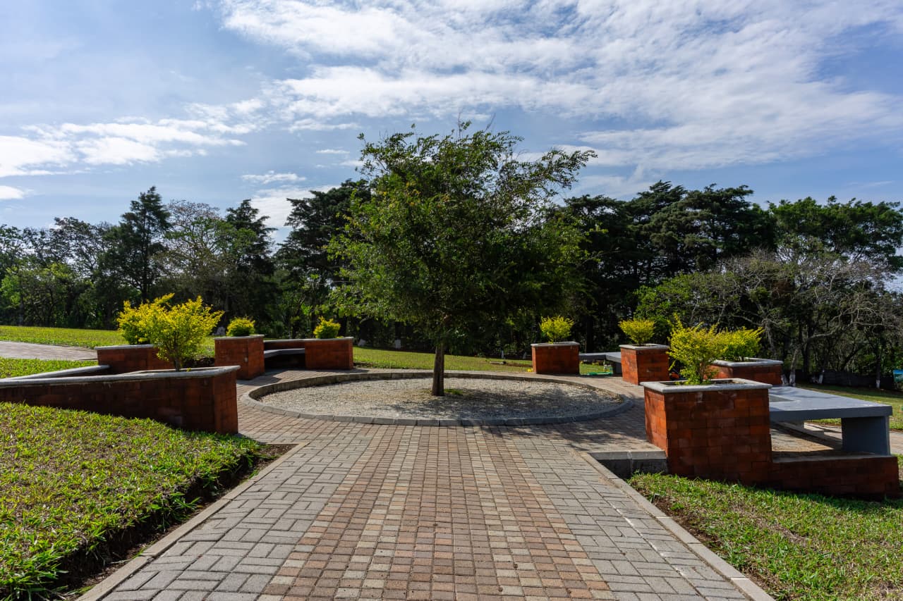 Cementerio El Alto -