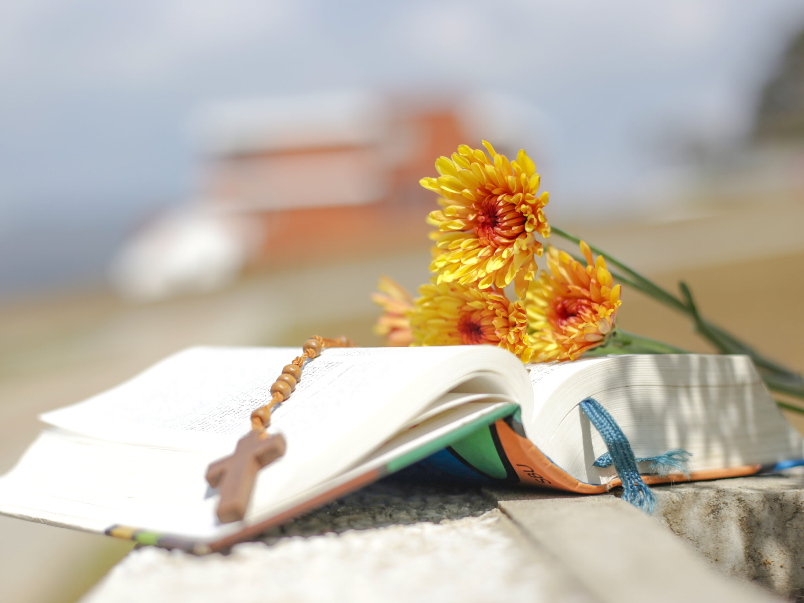 Cementerio El Alto -